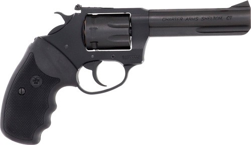 CHARTER ARMS TARGET PATHFINDER LITE .22 LR ALUMINUM 8 SHOT 4.2IN LITEPIPE ADJUSTABLE STANDARD BLACK BLACK PASSIVATE 12242 - Taurus Savings